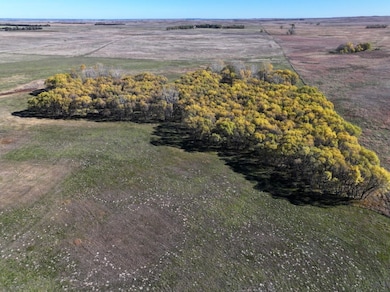 302nd, Winner, SD 57580 - photo 4