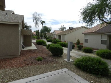 View from patio2