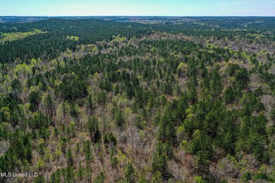 DJI_0646