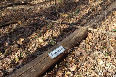 000 Parkersville Rd, Eddyville, KY 42038 - photo 4