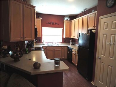 9909 Serona Bluff Way, Tampa, FL 33619 - photo 3