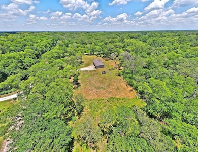 317 River Rd, Angleton, TX 77515 - photo 4