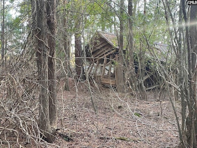 TRACT 2 S Carolina 219, Pomaria, SC 29126 - photo 3