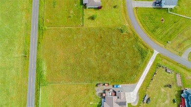 12322 Maxvale Dr SE, Yelm, WA 98597 - photo 4