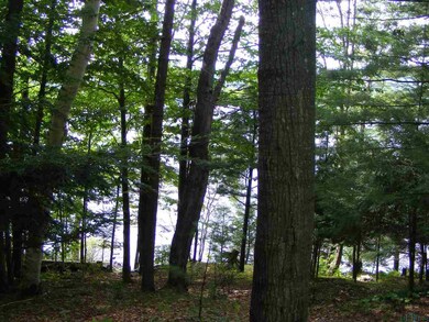 2432 S Shore Rd, Hadley, NY 12835 - photo 5