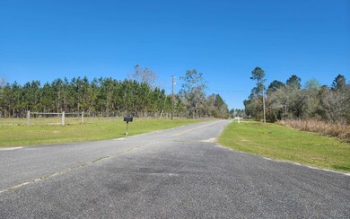 TBD 157th Point, Dowling Park, FL 32060 - photo 4