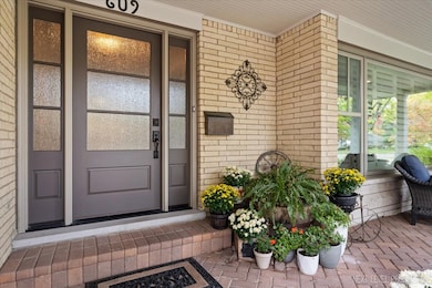 609 Bowling Green Ct, Naperville, IL 60563 - photo 5