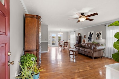 7514 Cox Pike, Fairview, TN 37062 - photo 6