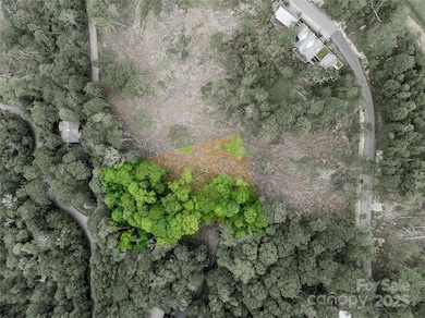 Lots 16 and 17 Ramp Patch Trail, Burnsville, NC 28714 - photo 6