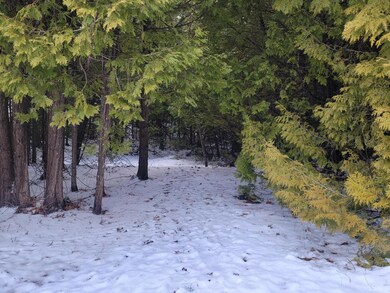 The Woods