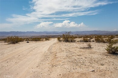 2650 Delaware Ave, Joshua Tree, CA 92252 - photo 4