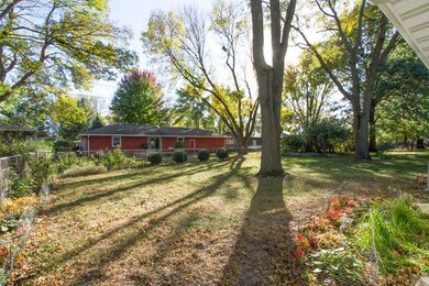 backyard_700