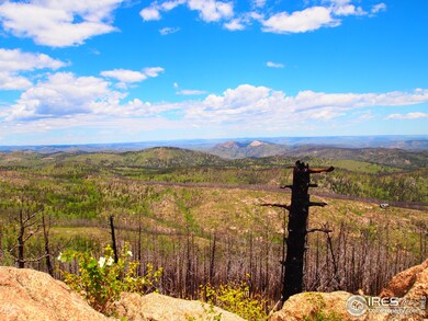 0 Davis Ranch Rd unit 785073, Bellvue, CO 80512 - photo 2