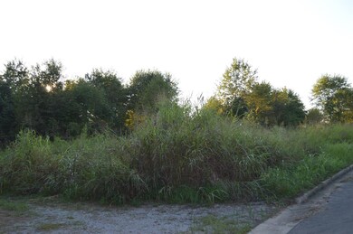 105 Gwinn Island Rd, Danville, KY 40422 - photo 2