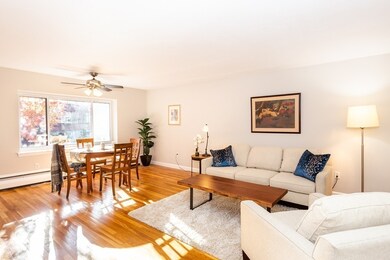 133 Beaconsfield Rd unit 24, Brookline, MA 02445 - photo 7