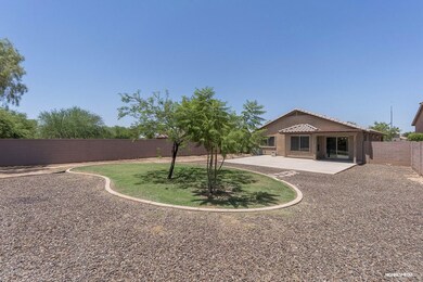 Large Backyard