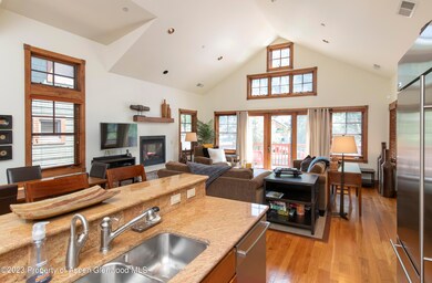 507 W Main St unit C201, Aspen, CO 81611 - photo 4