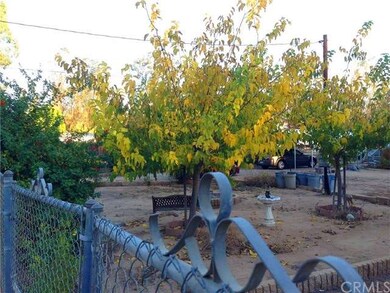 Tree and Shrub lined fencing with beautiful colorf