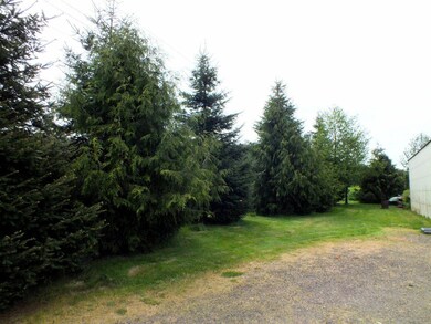 Grand Fir and Noble