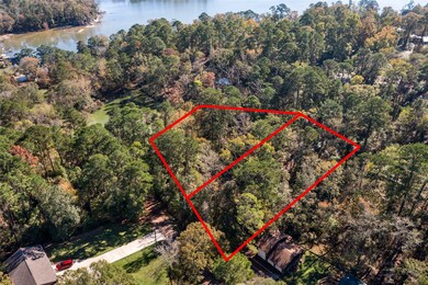 0 N Lakeview Dr unit 67956245, Point Blank, TX 77364 - photo 2