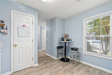 Kitchen pantry