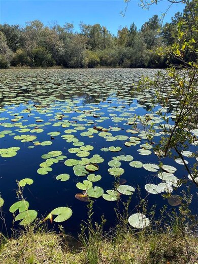 xx 3 Sisters Rd, Crawfordville, FL 32327 - photo 4