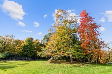The woods and backyard are a private oasis