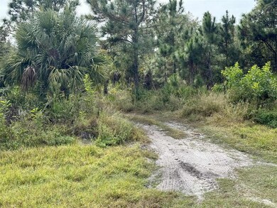 27275 Notre Dame Blvd, Punta Gorda, FL 33955 - photo 4