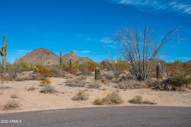 Lot9382-1
