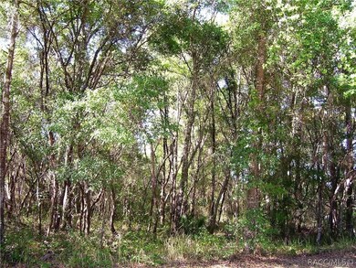 Lots of trees.