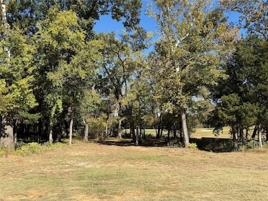 230 Club House Rd, Gordonville, TX 76245 - photo 7