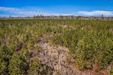 0 Moton Moore Rd unit 542113, McCormick, SC 29835 - photo 3