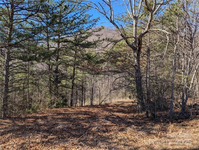 94 Trillium Ln unit C2, Black Mountain, NC 28711 - photo 7