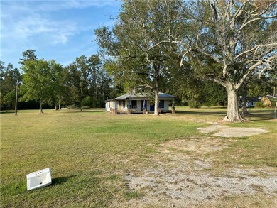 27218 Hwy 42 Hwy, Springfield, LA 70462 - photo 5