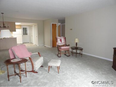 10 Ardis Ln, Hendersonville, NC 28792 - photo 3