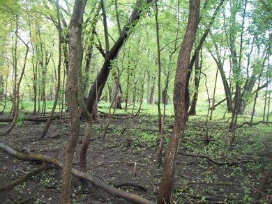 0 0 unit 1894405, Fremont, WI 54940 - photo 6