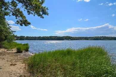 Shoreline