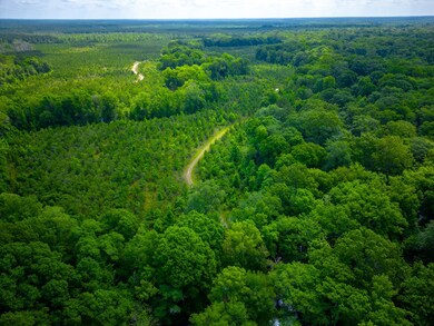 0 E River Rd unit 154466, Jacksonville, GA 31544 - photo 2