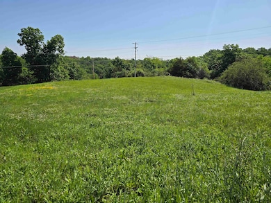 1004 Shagbark Rd, Decorah, IA 52101 - photo 3