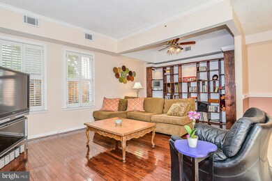 213C Locust St SE, Vienna, VA 22180 - photo 7