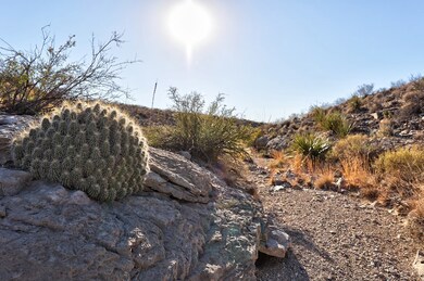 SEC 20 Claret Cup, Terlingua, TX 79852 - photo 6