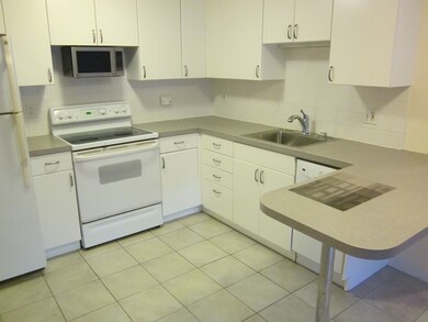 145 Warren St unit 2, Watertown, MA 02472 - photo 4