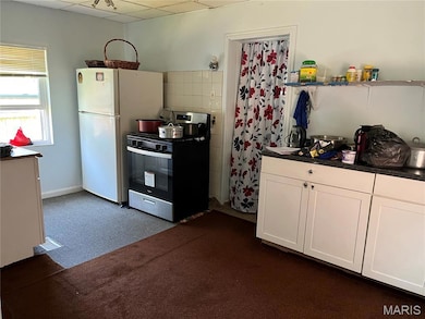 4441 Gannett St, Saint Louis, MO 63116 - photo 7