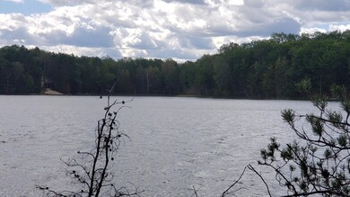 Another lakeview