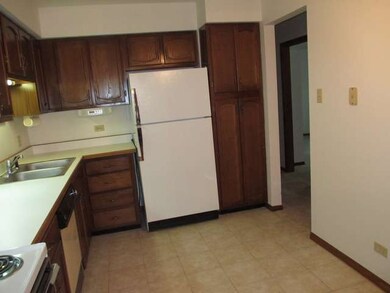 18315 Burnham Ave unit 303, Lansing, IL 60438 - photo 5