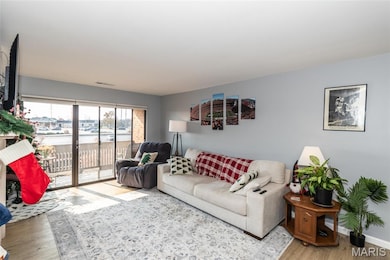 Courtland Hall unit 317, Saint Louis, MO 63141 - photo 7