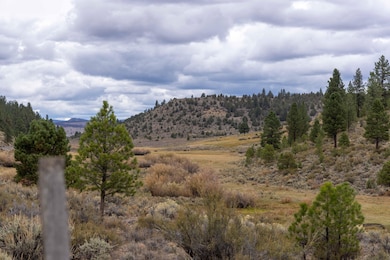 Burns-Izee Rd, Hines, OR 97738 - photo 3