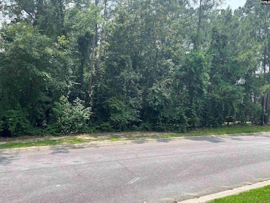 200 Deer Crossing Rd, Elgin, SC 29045 - photo 5