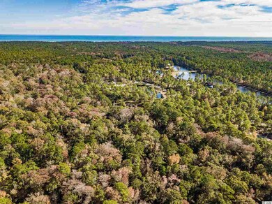 Lot 146 Ocean Lakes Loop unit Prince George Ocean, Pawleys Island, SC 29585 - photo 5