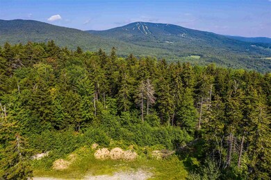 03 Turtle Hill Rd unit 3, Ludlow, VT 05149 - photo 3